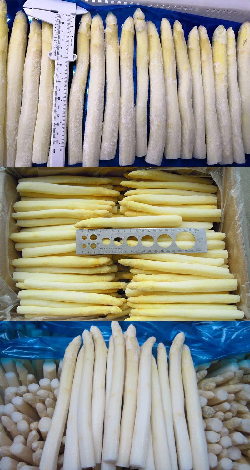 HACCP Brc Kosher Halal Seasonal China IQF Frozen White and Green Asparagus