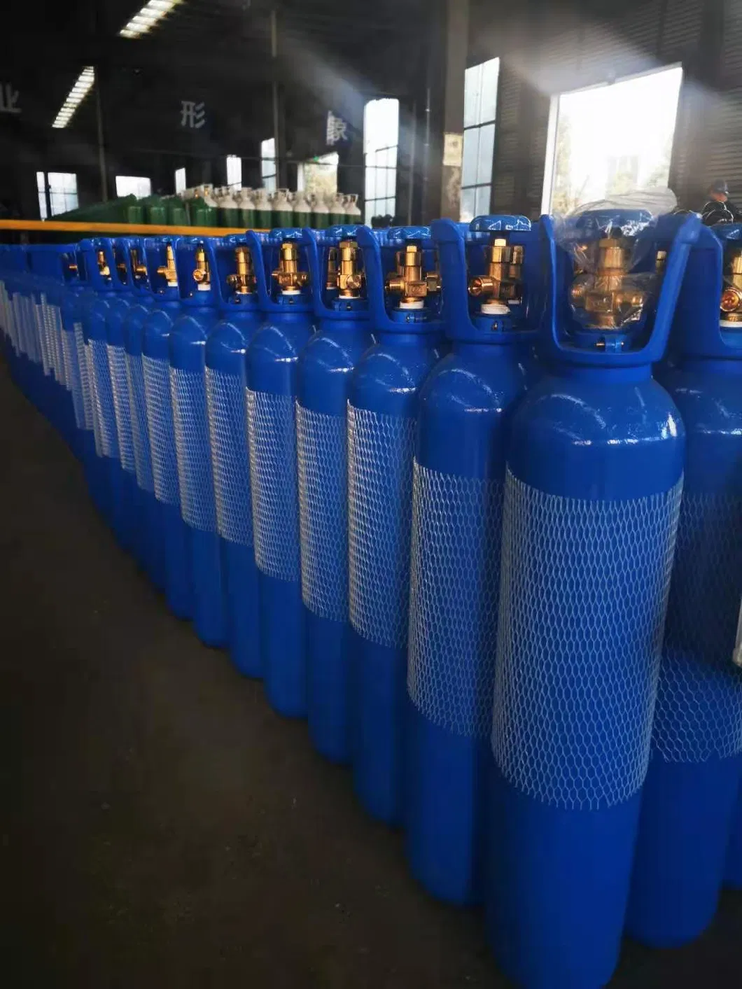 10L ISO Tped Certificate Seamless Steel Portable Household Health Care Medical Oxygen Gas Cylinder