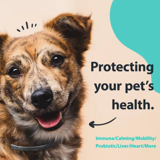 Supports Digestion, Immunity & Health, Seasonal Allergies Digestive Probiotic Soft Dog Chews