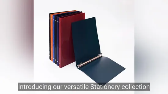 Stationery, Expending File Folder, Clip File, Document Bag, Display Book, Ring Binder 